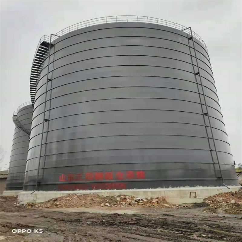 肇源3万吨大型钢板库